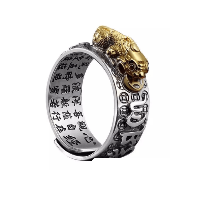 Fengshui Mantra Pixiu face Wealth Coin Charm Ring