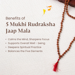Natural 5 mukhi Rudraksha Japa Mala