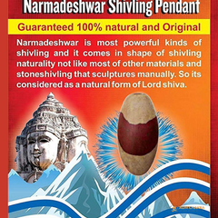 Natural Narmadeshwar Shivling Goodluck Wealth Charm Pendant With Chain