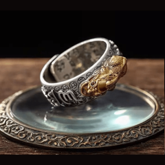 Fengshui Mantra Pixiu face Wealth Coin Charm Ring