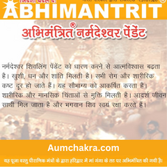 Natural Narmadeshwar Shivling Goodluck Wealth Charm Pendant With Chain