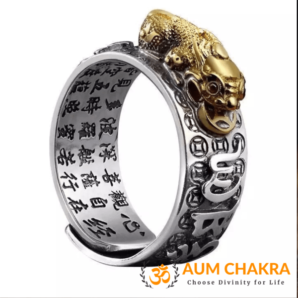 alextreme Feng Shui Pixiu Mani Mantra Protection Wealth Ring Amulet Wealth  Lucky Open Adjustable Ring Buddhist Jewelry Ring - Walmart.com